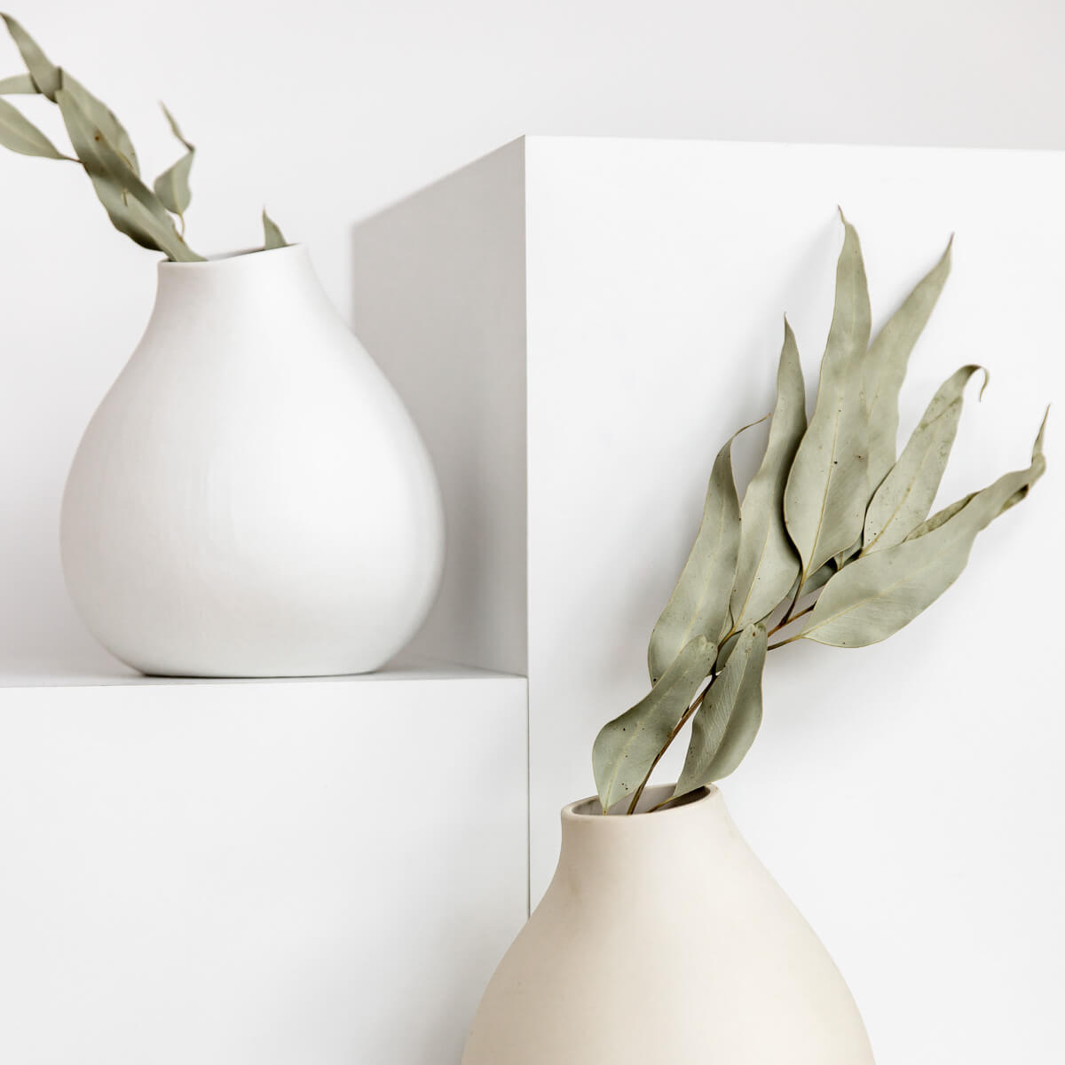 Vielseitiger Klassiker: getrockneter Eukalyptus - Lykke&You GmbH