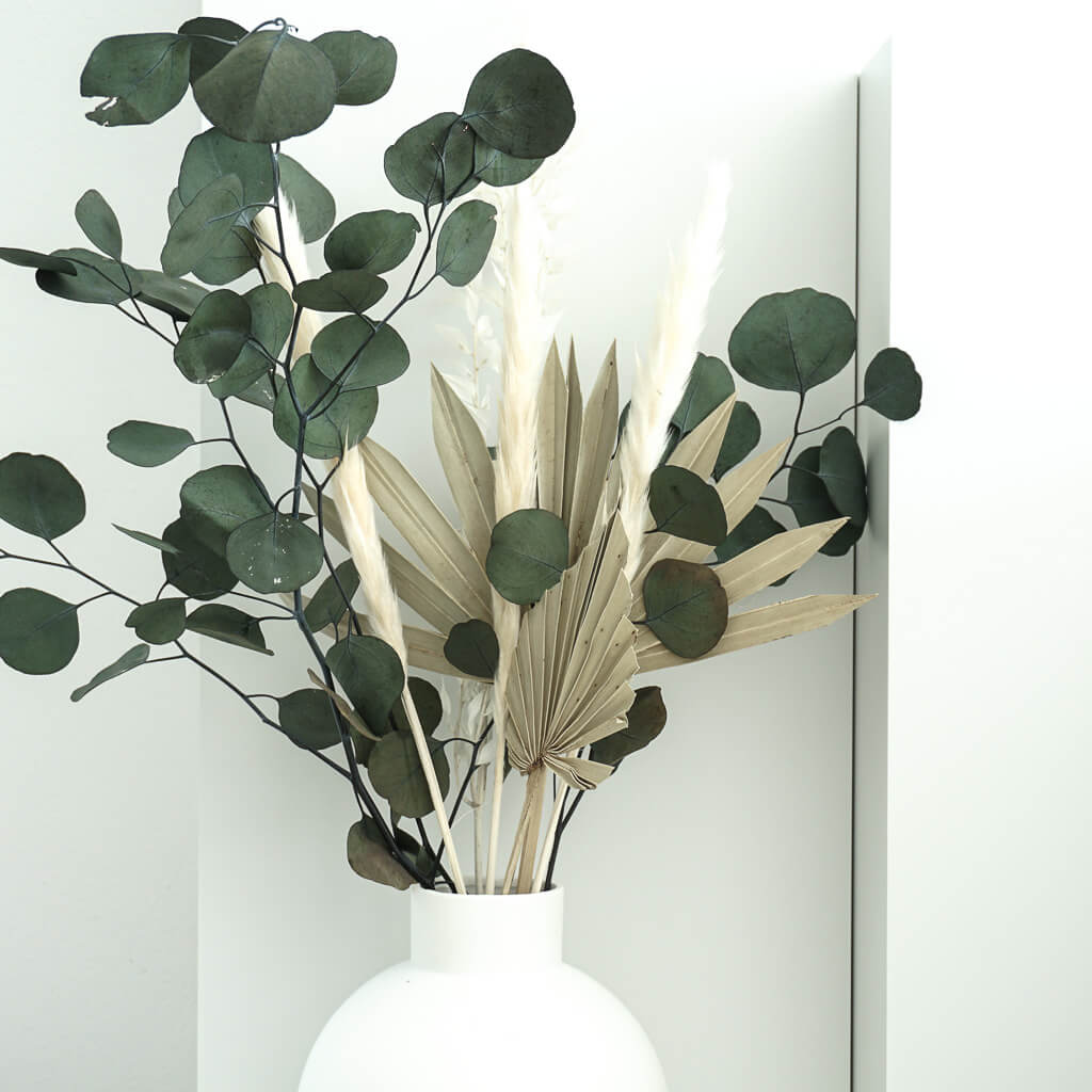 Eukalyptus Popolus | 60-75 cm || elegant & modern - Farbe: gruen