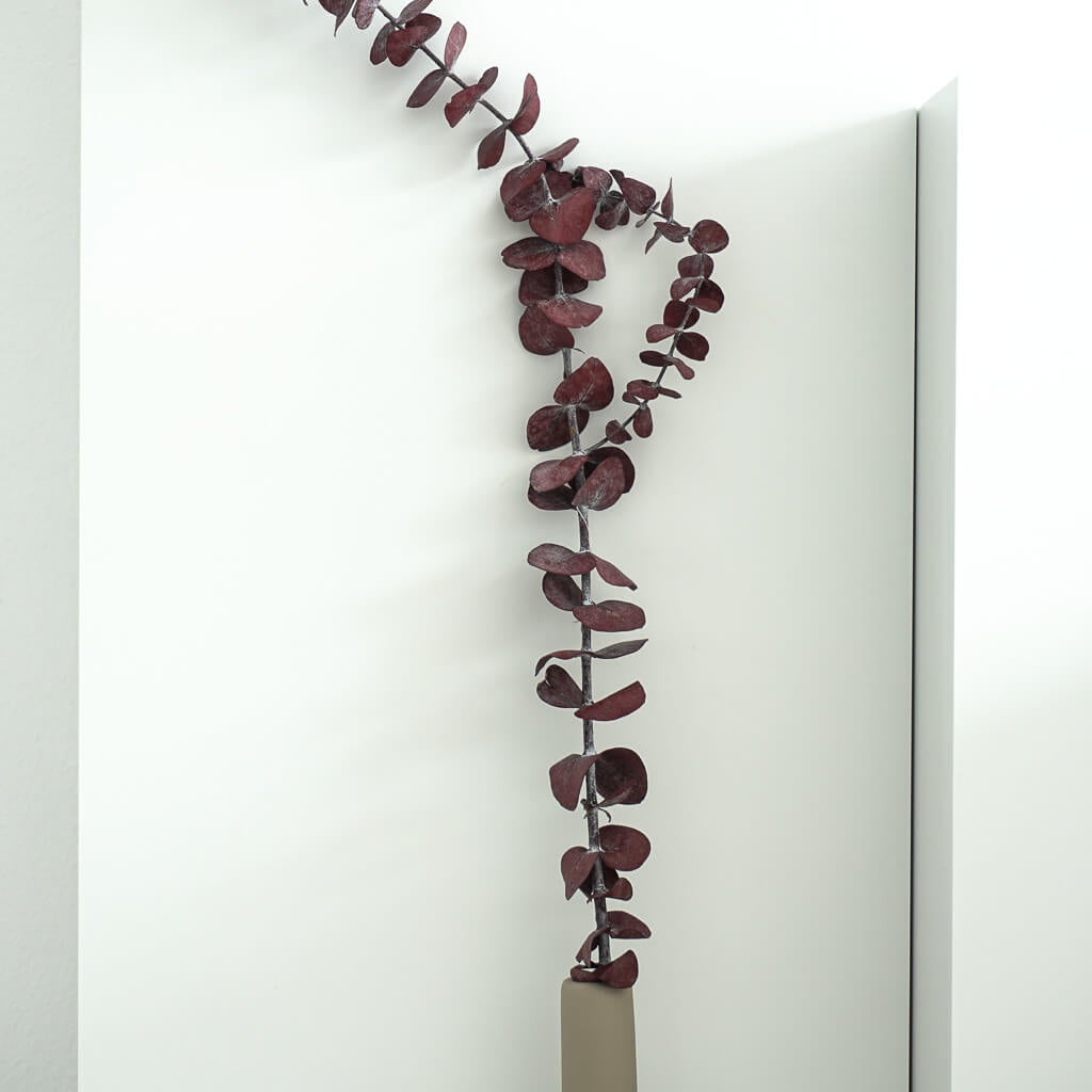 Eukalyptus Baby konserviert I 70 cm I - Größe: 1 Stiel - Farbe: rot