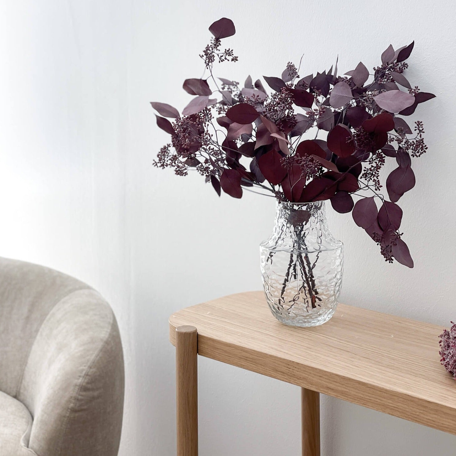 Eukalyptus Popolus mit Beeren | 60-75 cm | | elegant & modern - Farbe: rot