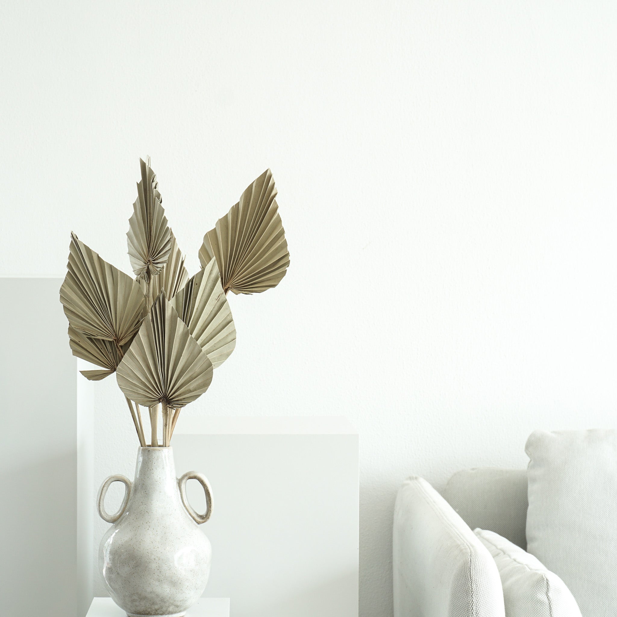 Getrocknete Palmspeere | 40cm | Trendprodukt - Farbe: natur 