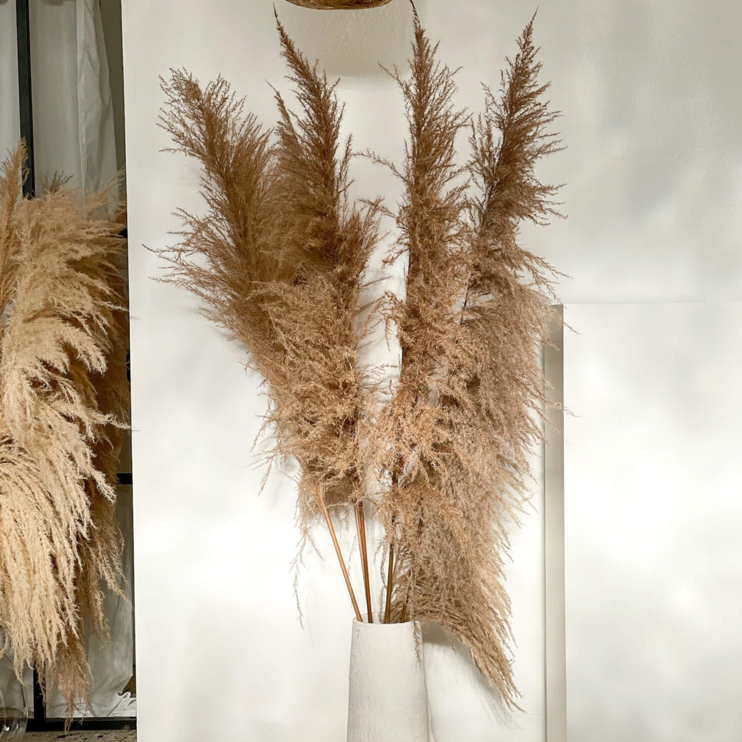 Pampasgras XL im Retrolook | ca 120 cm | braun | - Farbe: braun