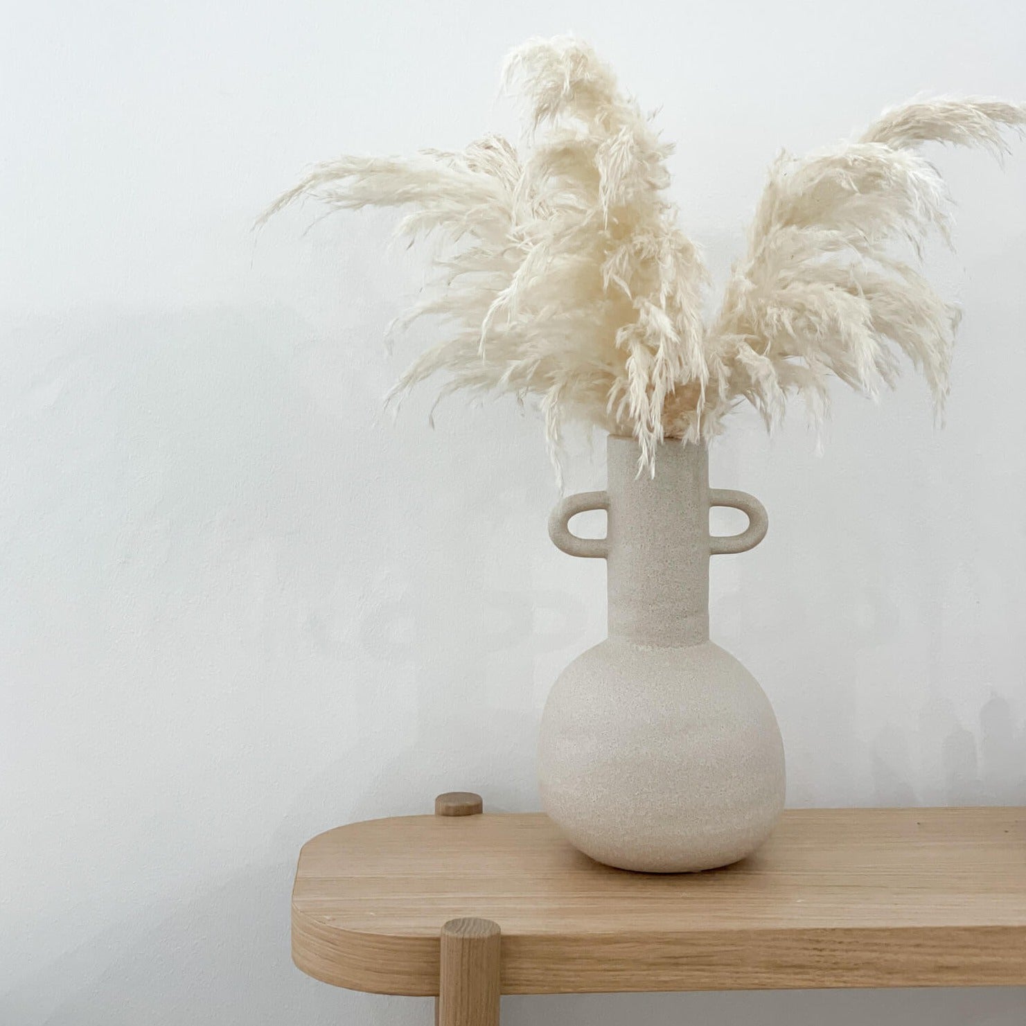 Getrocknetes Pampasgras | weiß | 70-80 cm | 5 oder 10 Wedel - Größe: Klein