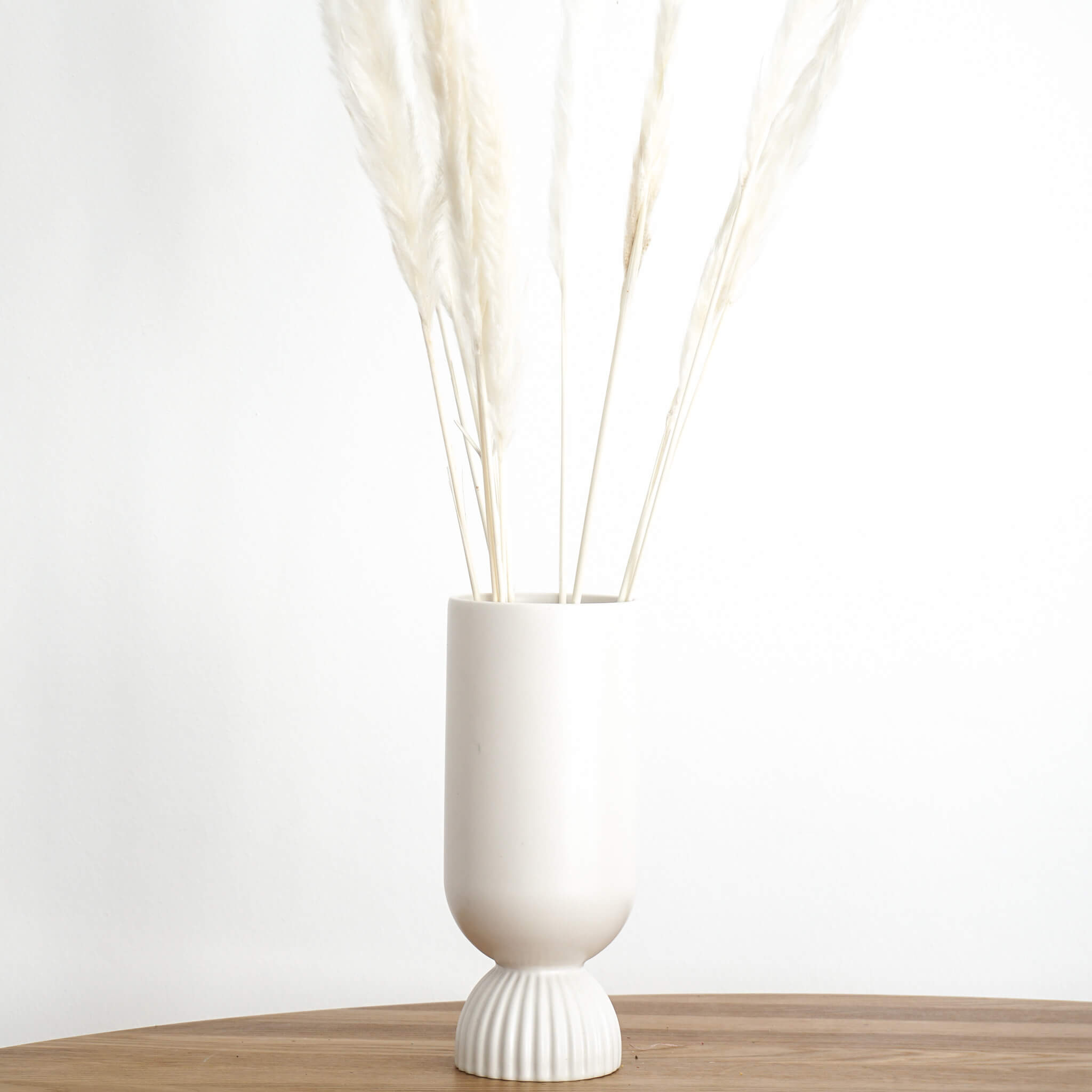 Pampasgras Mini I 70 cm I Gut für Tischvasen |  - Farbe: weiß
