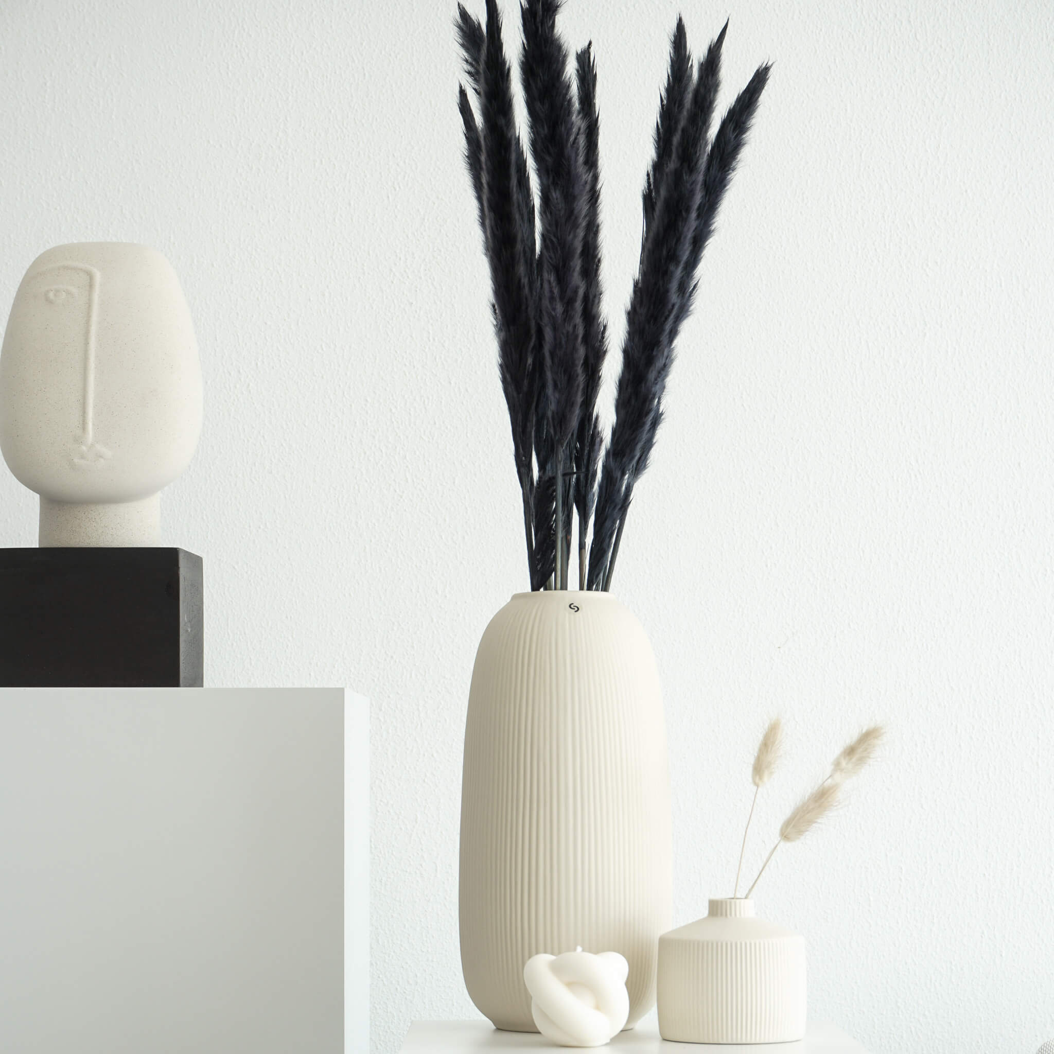 Pampasgras Mini I 70 cm I Gut für Tischvasen | - Farbe: schwarz
