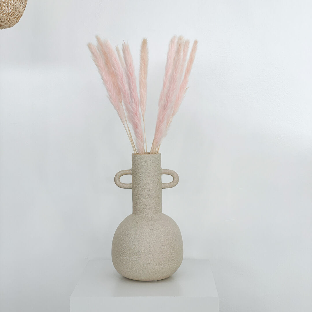 Pampasgras Mini I 70 cm I Gut für Tischvasen |  - Farbe: rosa