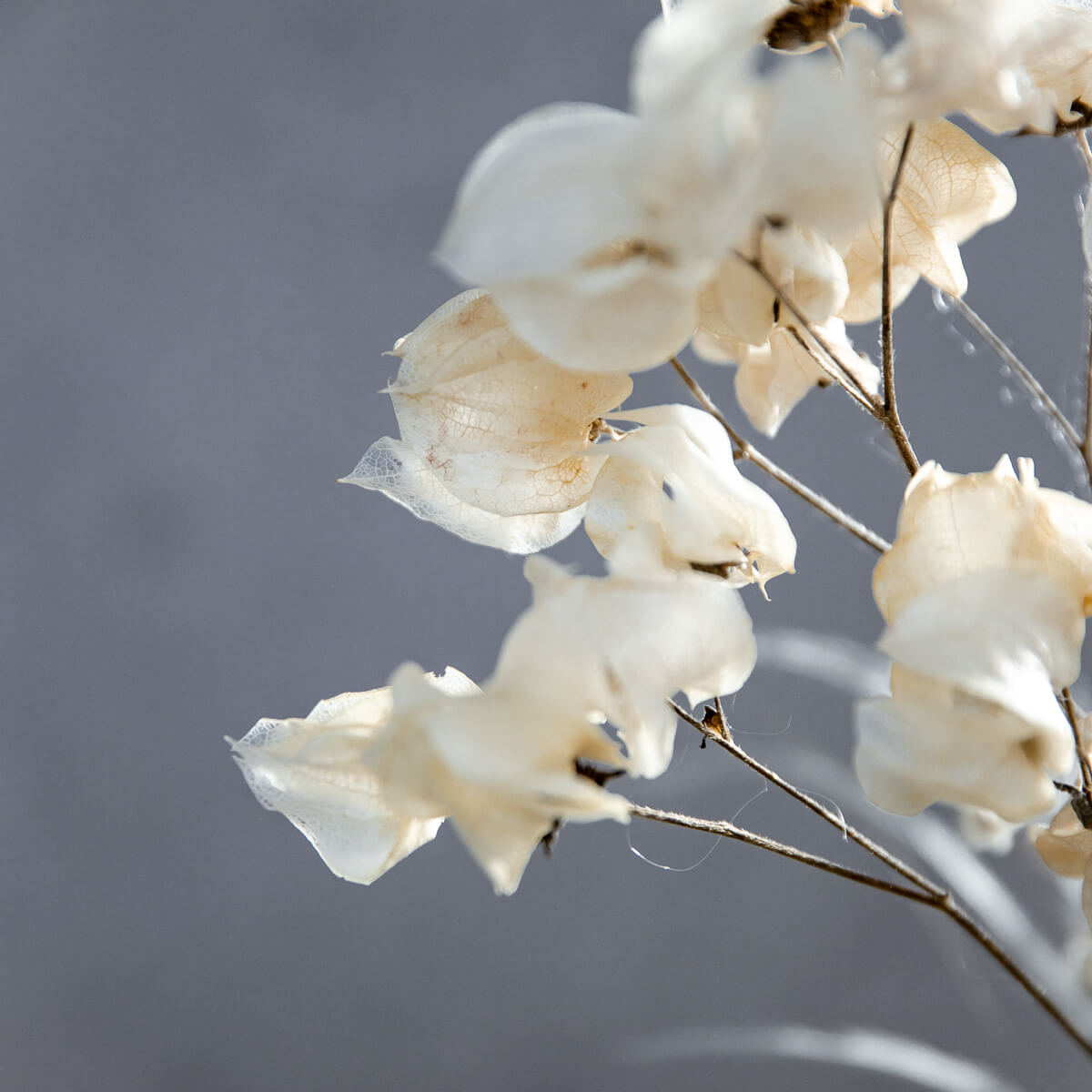 Touch of Beige: Extravaganz trifft auf Frühlingsfrische - Lykke&You GmbH