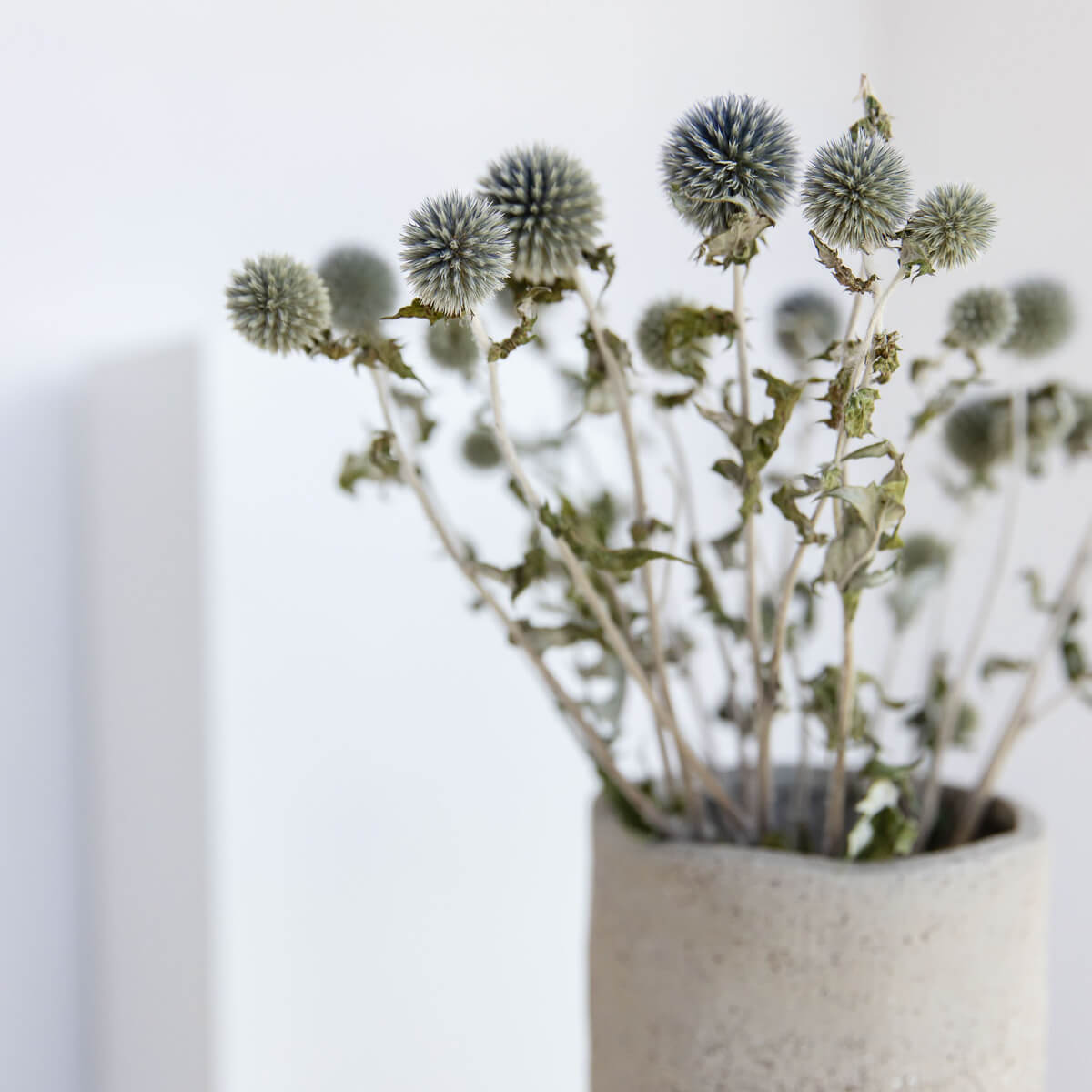 Kugeldistel - Lykke&You GmbH