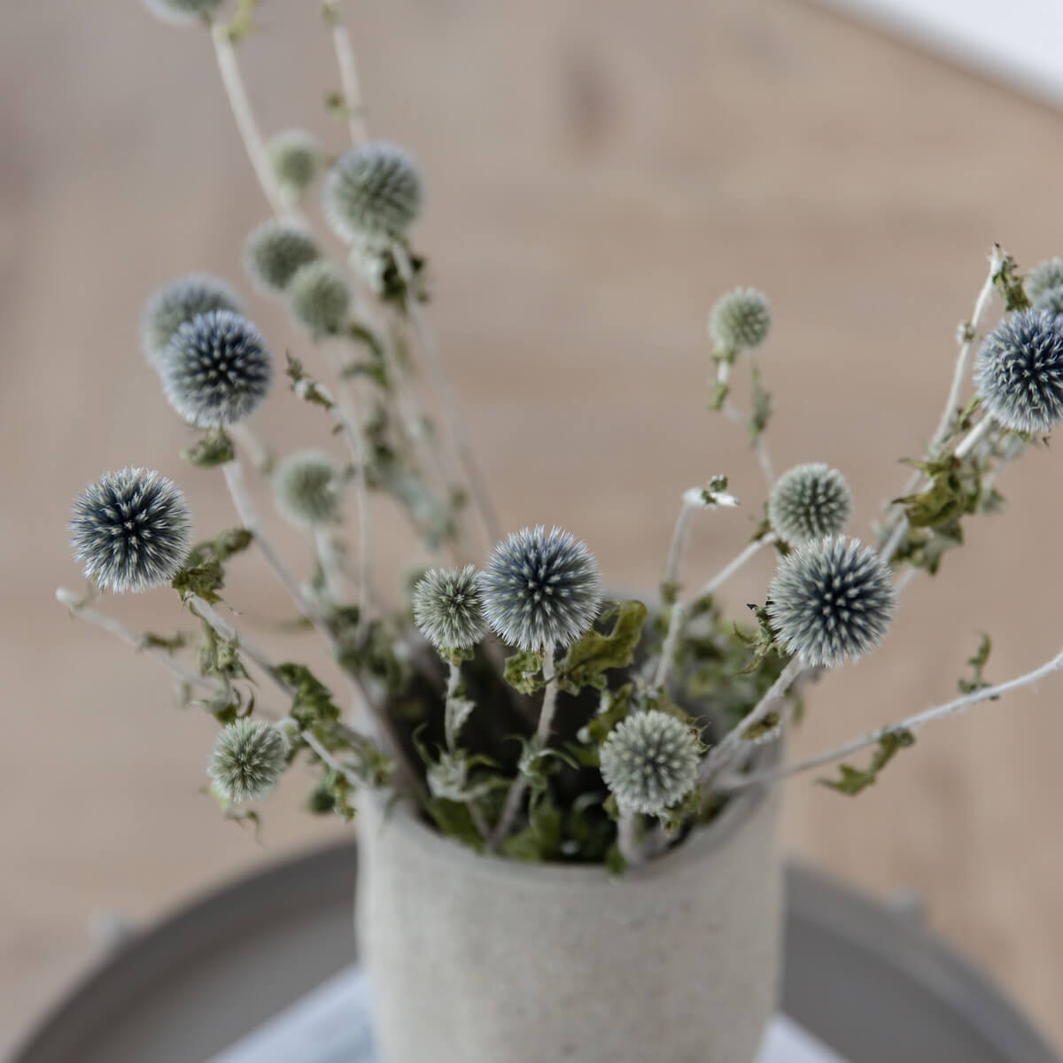 Kugeldistel - Lykke&You GmbH