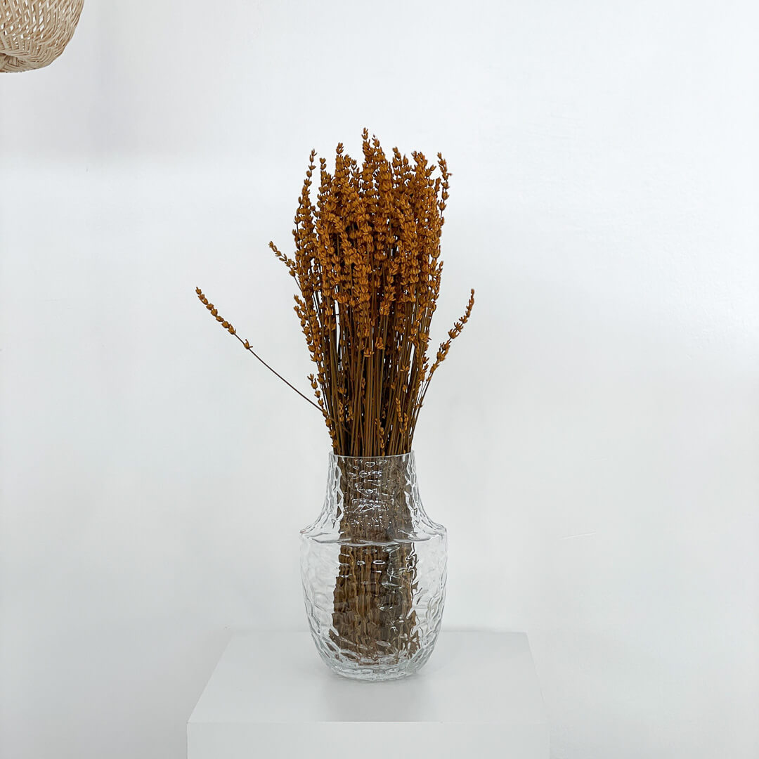 Trockenblume Lavendel I getrocknet I ca 40 cm I Farbe: terracotta