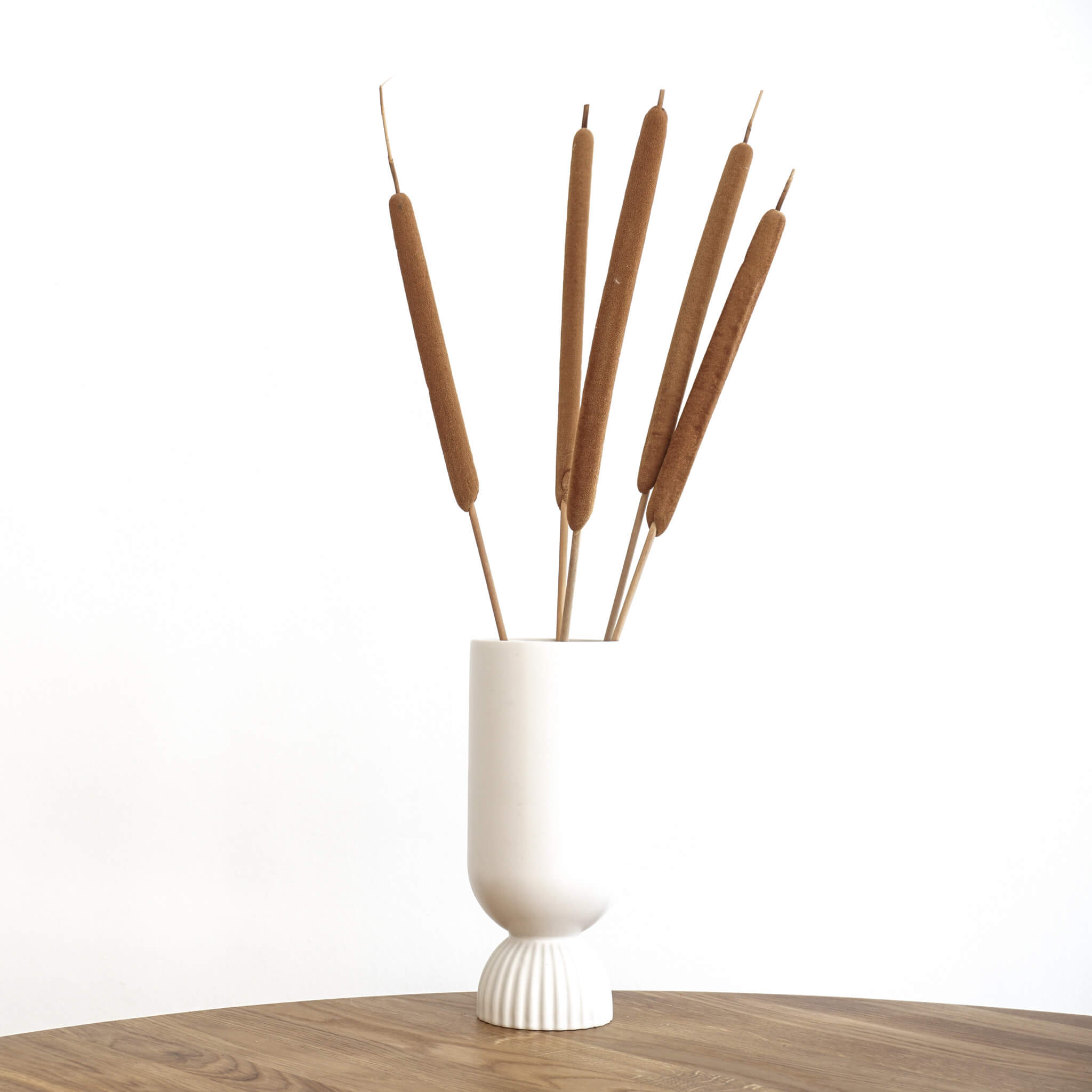 Getrocknete Schilfkolben | 60-70 cm | Trockenblumen - Farbe: braun