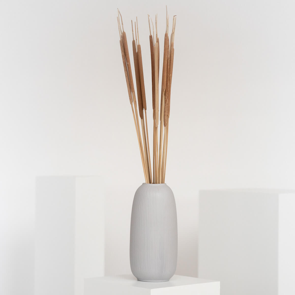 Kreatives Flair: Getrocknete Schilfkolben für Bastelprojekte und Dekorationen - Lykke&You GmbH