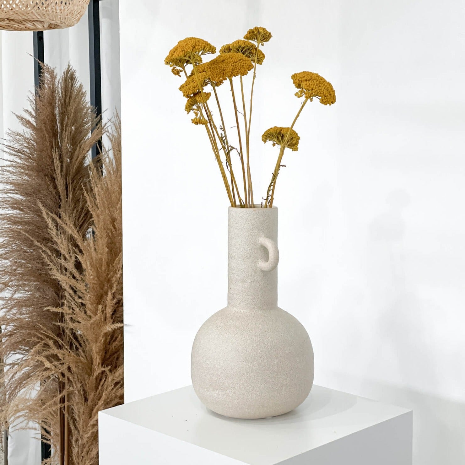 Schafgarbe getrocknet (Achillea) | 60-70 cm |- Farbe: gelb