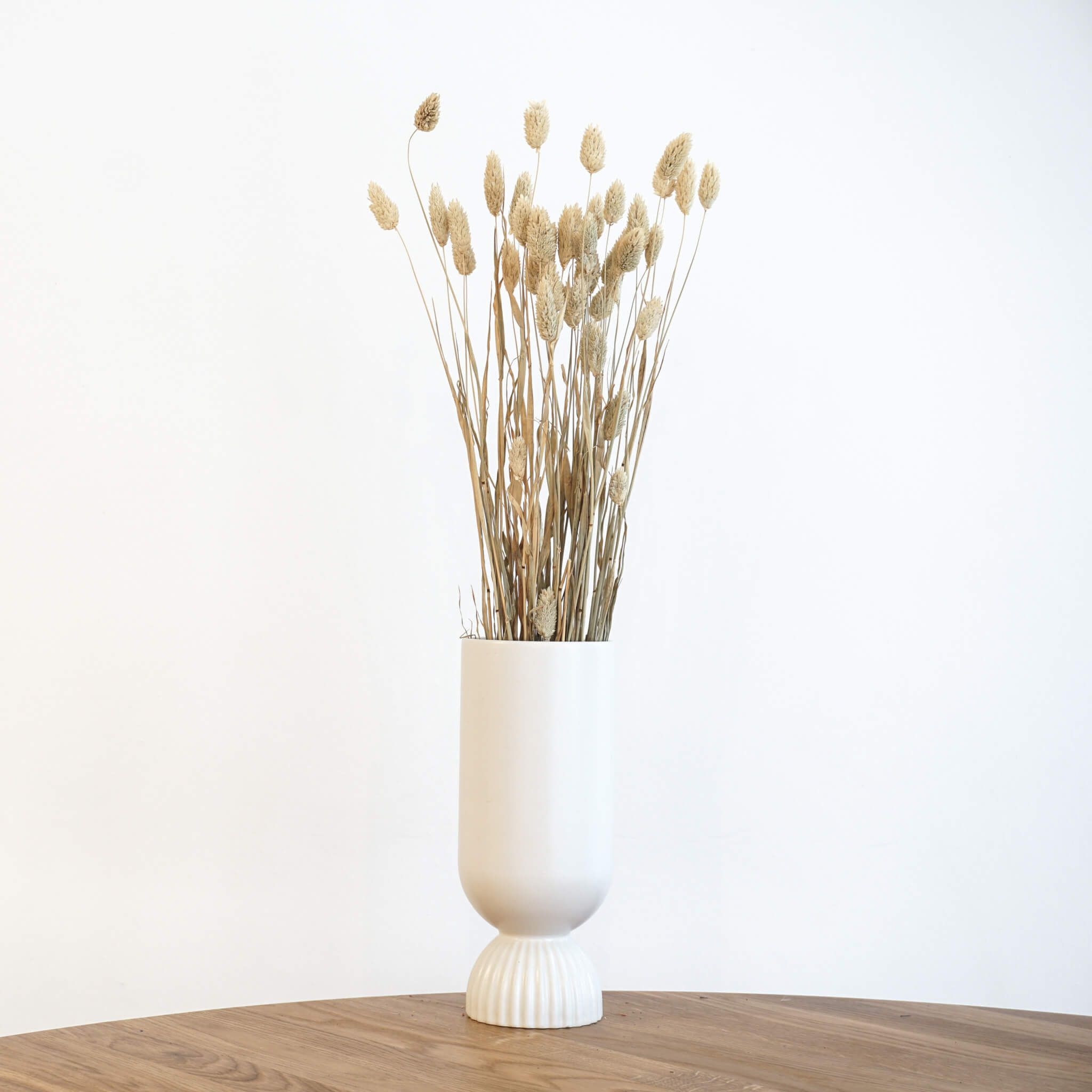 Trockenblume Phalaris I Kanariengras | weiss | ca. 60 cm - Größe: 30 Stiele