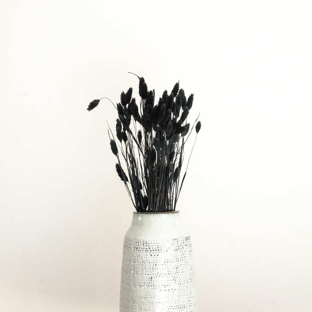 Trockenblume Phalaris I Kanariengras | schwarz | ca. 60 cm - Größe: 10 Stiele schwarz