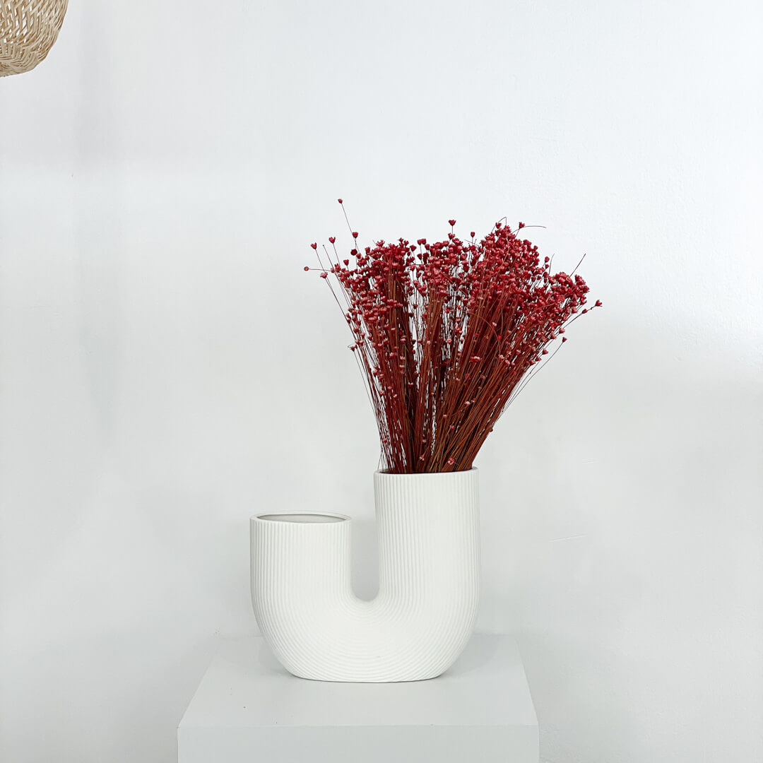 Glixia - Gänseblümchen | | 50 cm - Farbe: rot; 1 großer Bund