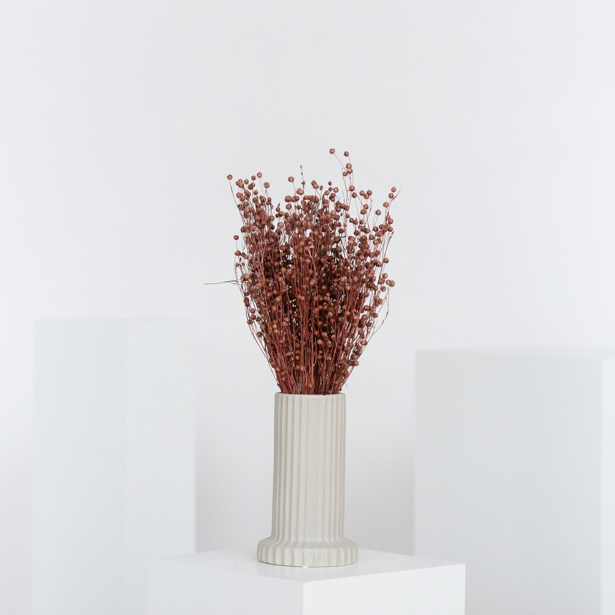 Flachs | Linum - Lykke&You GmbH