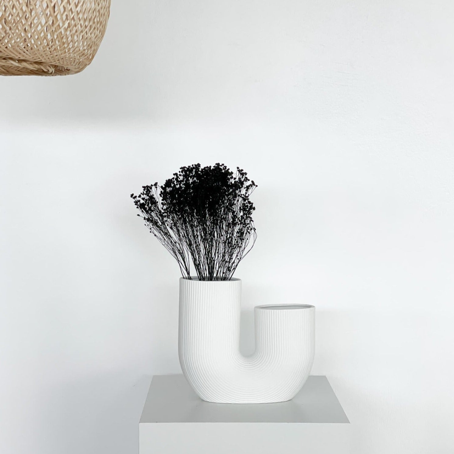 Broom Bloom | 40-50 cm | - Farbe: schwarz