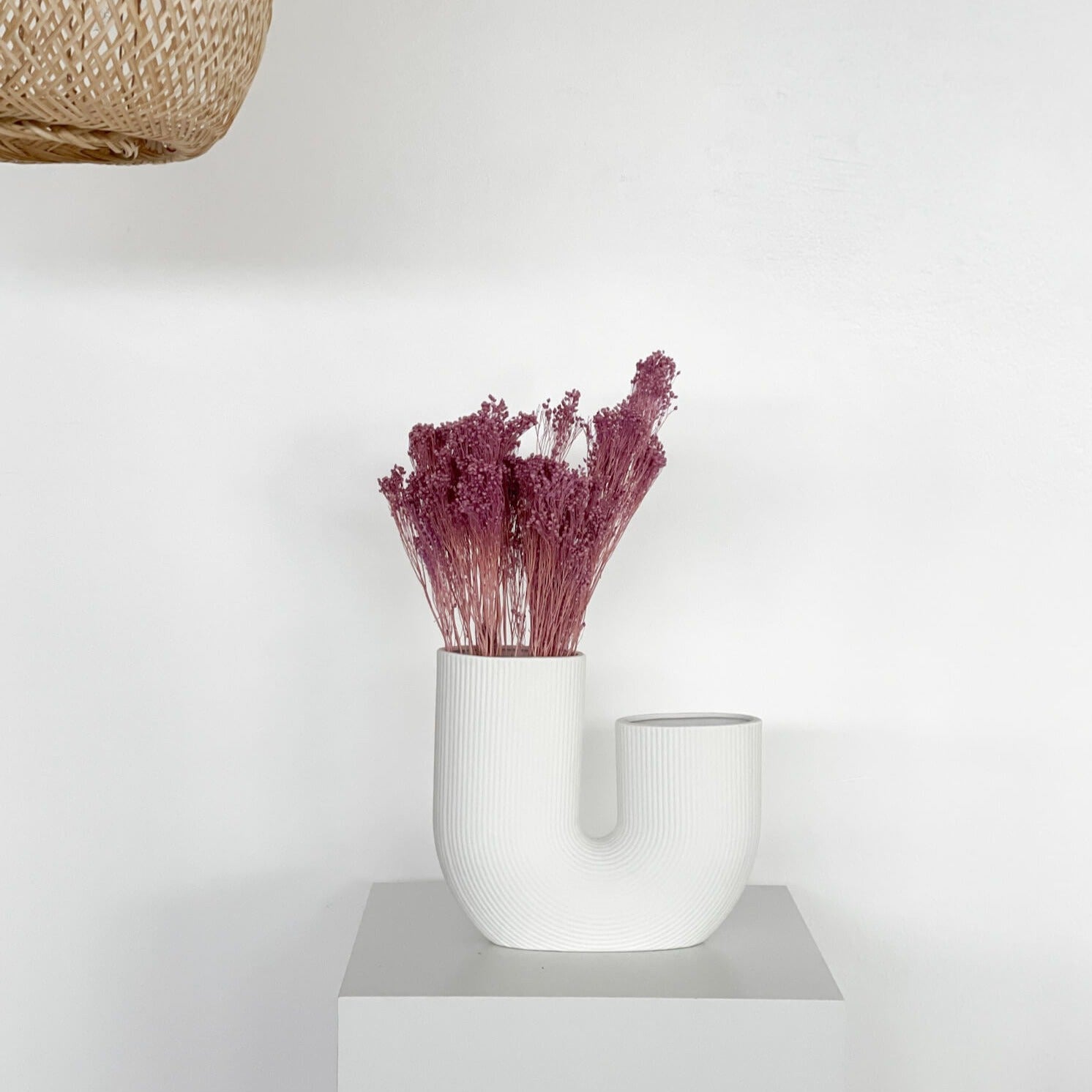 Broom Bloom | 40-50 cm |  - Farbe: lila