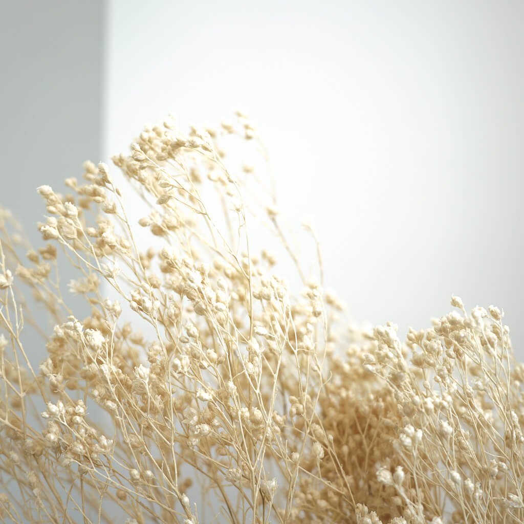 Broom Bloom - Lykke&You GmbH