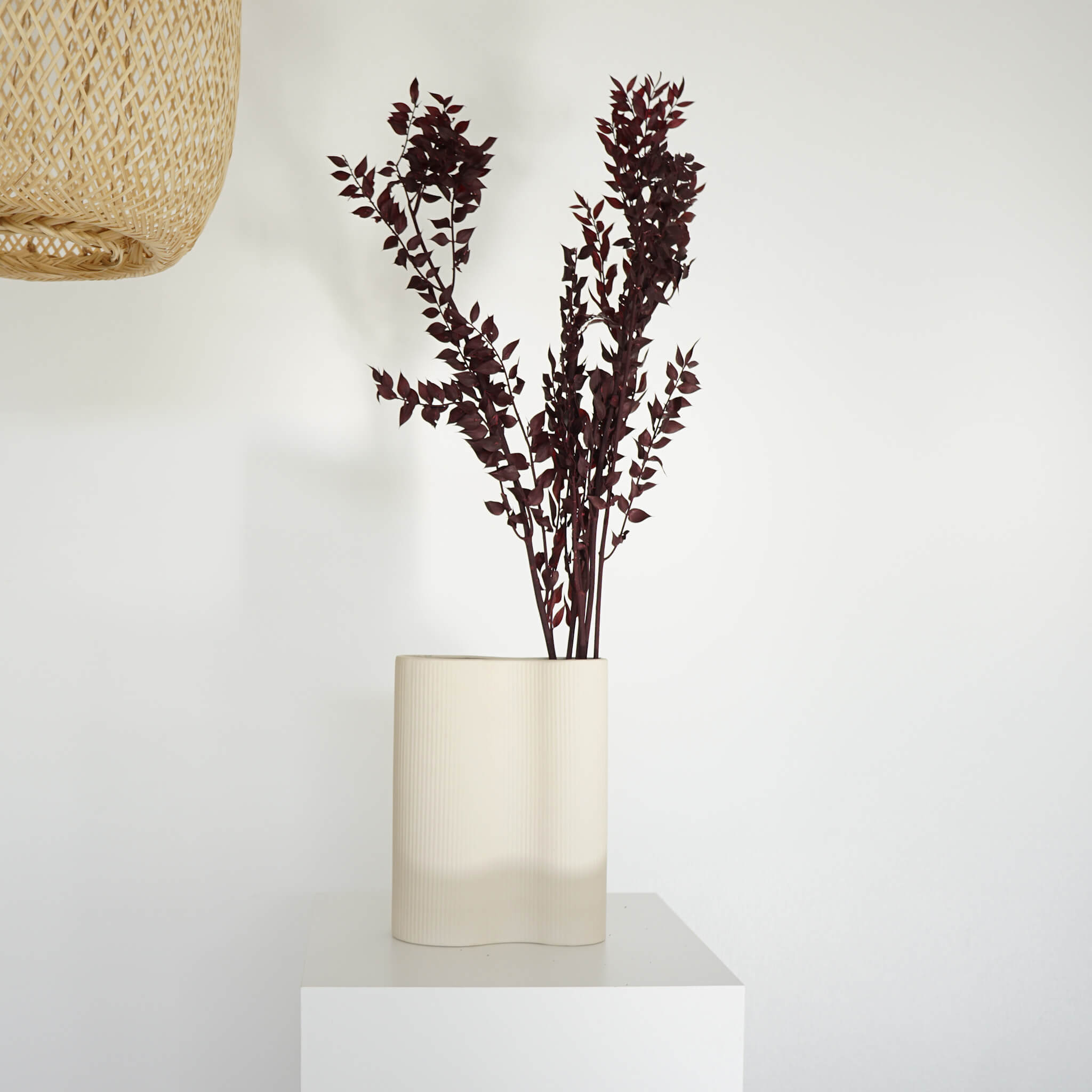 Ruskus | 60-75 cm | weinrot | perfekt für Trockenblumensträuße - Größe: 1x